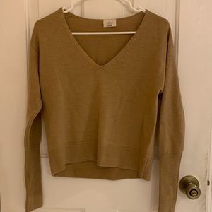 Aritzia Wilfred Cyprie V Neck sweater